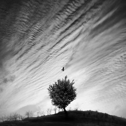 1536917159481443.jpg 人生如逆旅 我亦是行人.jpg